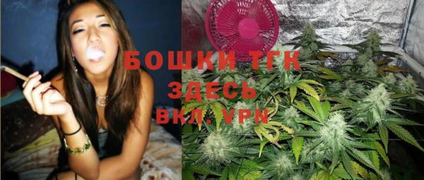 прущие крисы Козловка