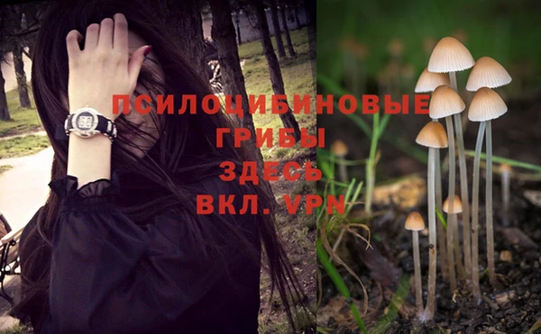 эйфоретик Киреевск