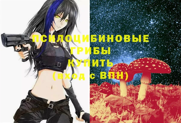 прущие крисы Козловка