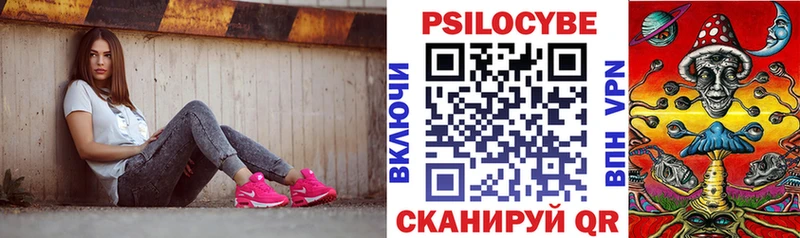 Псилоцибиновые грибы MAGIC MUSHROOMS  Клин 